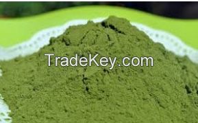 Moringa Leaves Dry and Powder