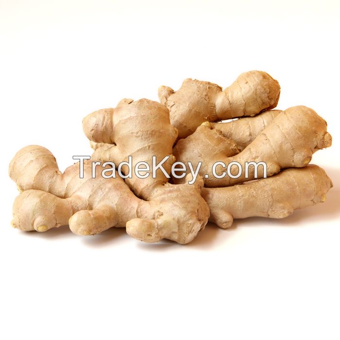 Fresh Ginger / Garlic for sale.