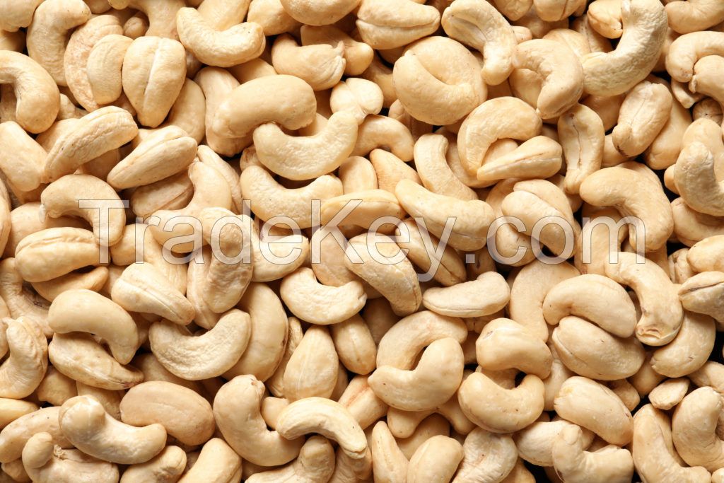 Cashew Nut