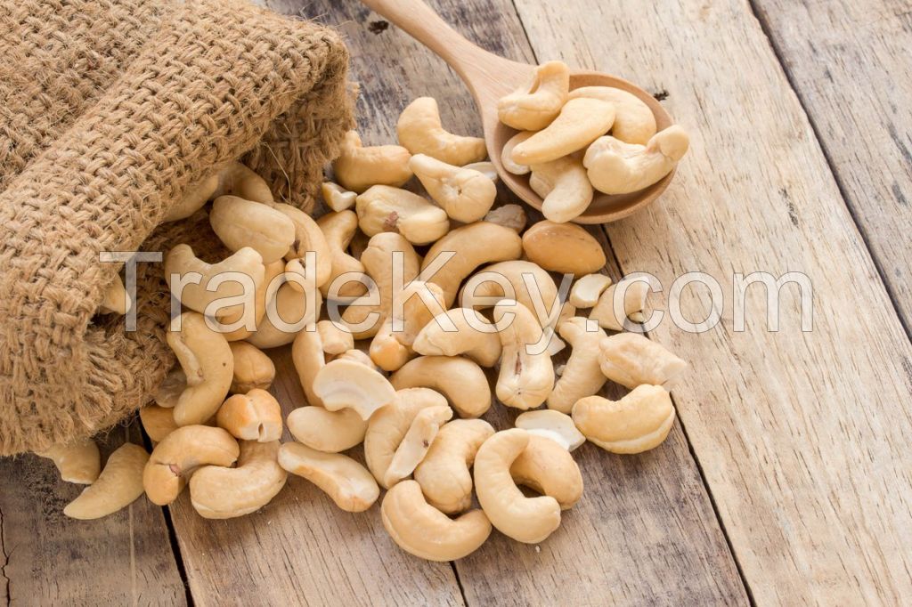 Raw / Salted Roasted Cashew Nuts W180, W210, W240, W320, W450 - Cashew Nuts