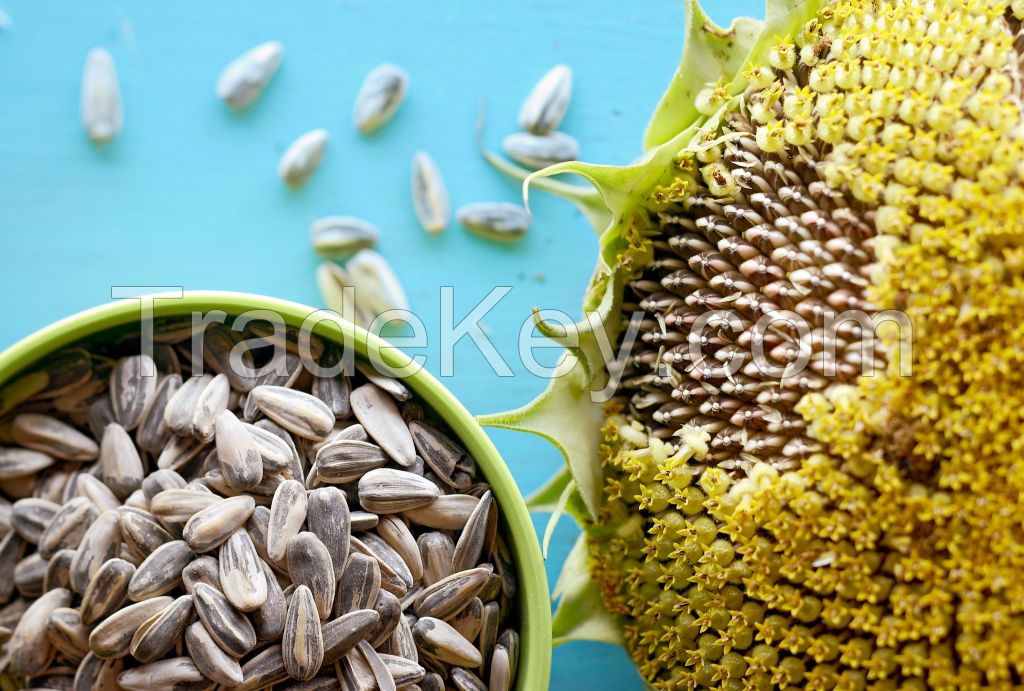 Black Sunflower Seeds High Quality Seeds for Sale From Manufacturer Sunflower Seeds Wholesale 