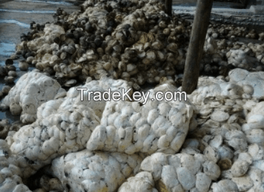 Top Quality Grade Natural Rubber Cup Lump with Drc of 72% for Sale, High Quality Cup Lump Natural Rubber, Natural rubber cup lump