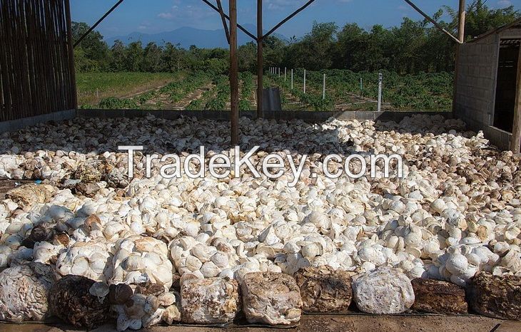 Top Quality Grade Natural Rubber Cup Lump with Drc of 72% for Sale, High Quality Cup Lump Natural Rubber, Natural rubber cup lump