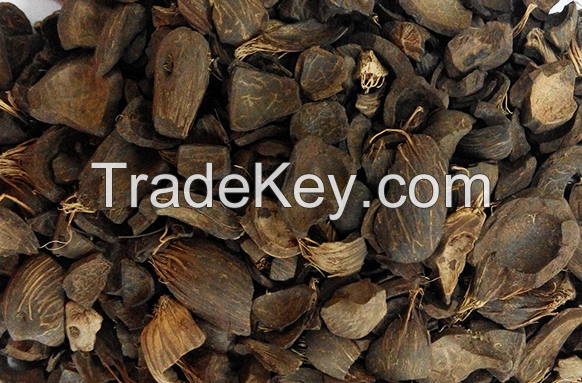 palm kernel shell, PKS, oil palm shell, bioenergy, biomass fuel, palm kernel shell charcoal, composite material, adsorbent, activated carbon, and construction aggregate.