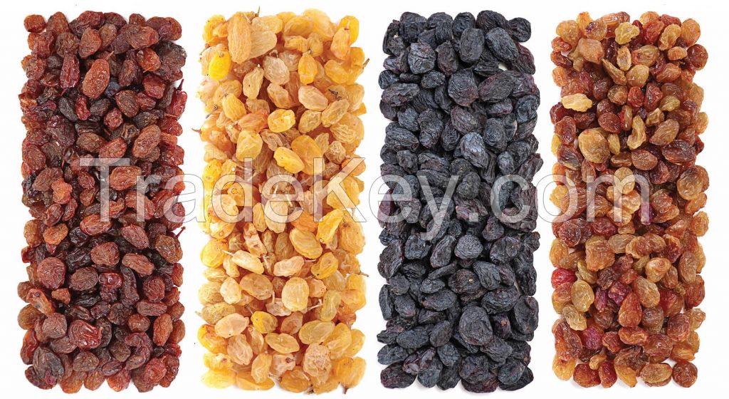 Golden raisins,Organic raisins,seedless raisins,Sun-Maid raisins, baking raisins,snack raisins, Natural Golden Kishmish Raisins High Quality Organic Golden Dried Fruits No Additives Rich Nutritious Dried Raisins for Sale, Organic Sultana Raisins Wholesale