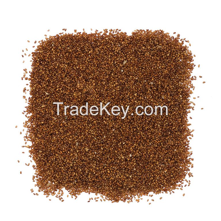 2021 Crop Year High Quality Teff Grains