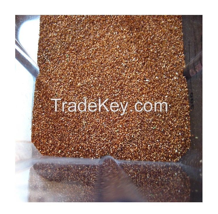 Quality Hot Rich Selling Bulk Organic Dried Teff Grain