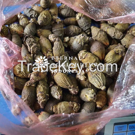 Boil Young Betel Nut / Areca Nut