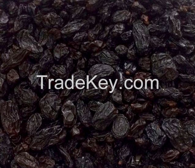 Black Raisins