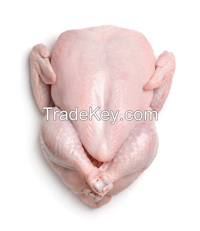 EXPORT GRADE HALAL FROZEN WHOLE CHICKEN, CHICKEN FEET, CHICKEN PAW AND ALL OTHER PARTS
