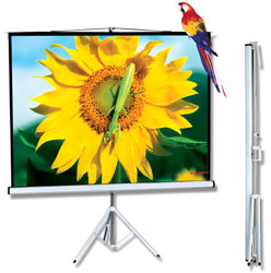 Tripod Projector Screen