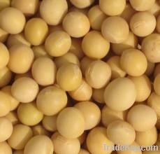 Soybeans