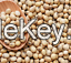  Soy bean Premium-Quality Soybean