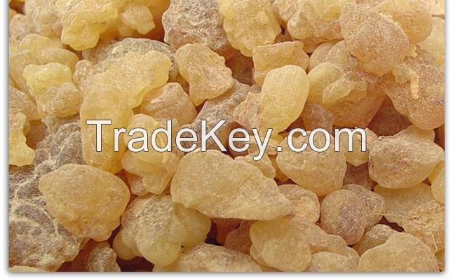 Gum Arabic