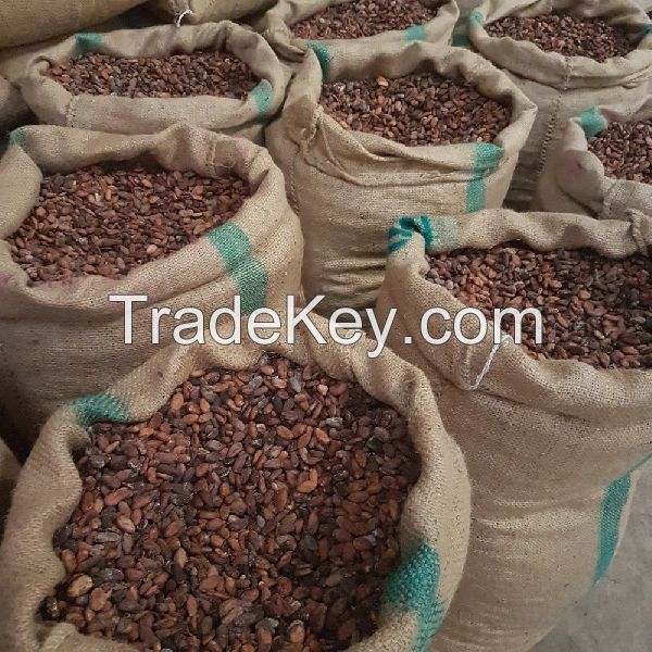 Hot Selling Alkalized Cocoa Powder For Sale