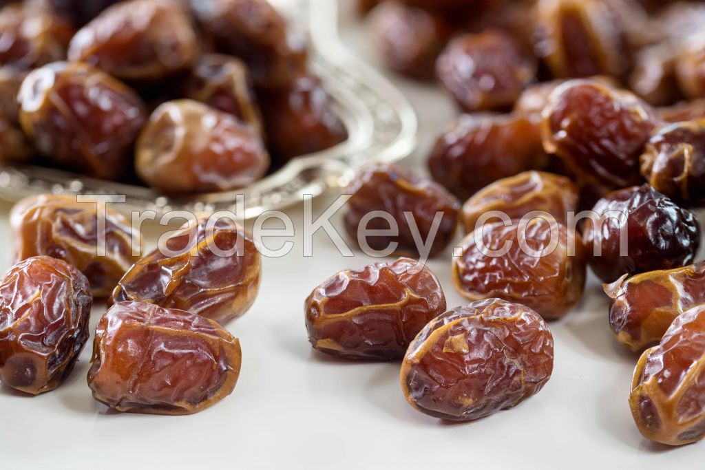 SUKKARI dates