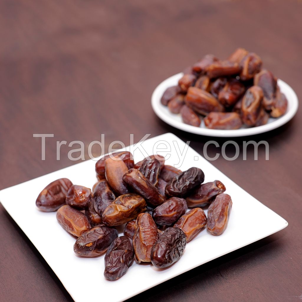 KHUDRI dates