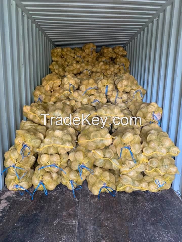 SEMI HUSKED COCONUT + 84 989 176 348