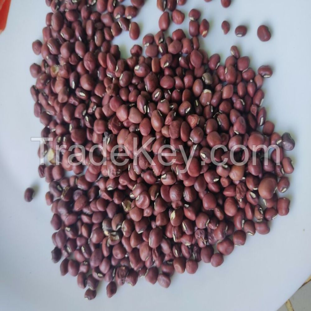 Wholesales Adzuki Beans Bamboo Beans Export Grade Cowpea Small Red Adzuki Beans For Sale