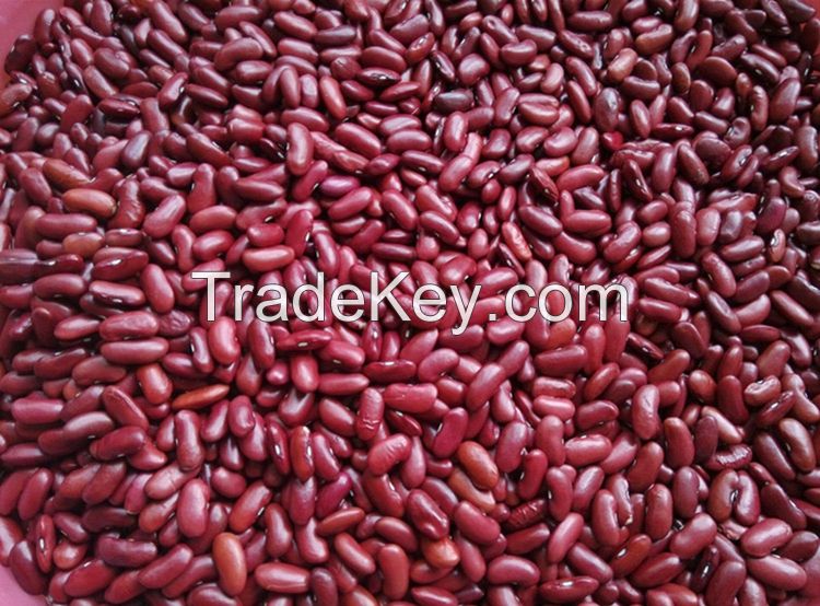 Direct Sales Red Kidney Beans Price Per Ton Cheap Red Kidney Beans