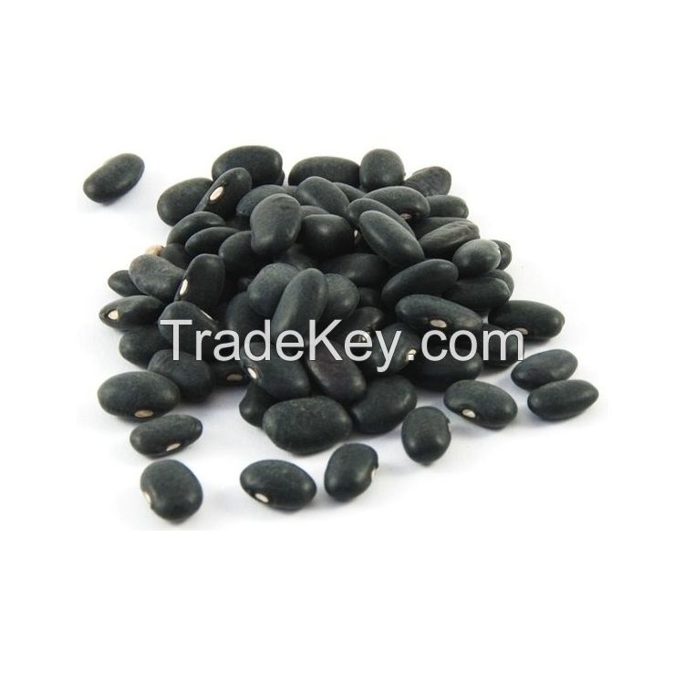 Manufacturer New Product Organic Black Bean - Kidney Beans Export Black Kidney Beans Cheap Price