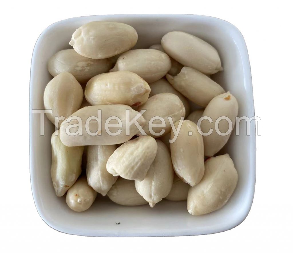 Red Peanut, blanched Peanut Kernels, Bold PeanutsBlanched Peanuts Java Peanuts/ Raw Peanuts Kernel / Raw Peanut in Shell