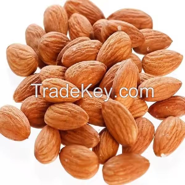 Food Grade 100% Pure Natural Dried Bitter Almonds for Drinking