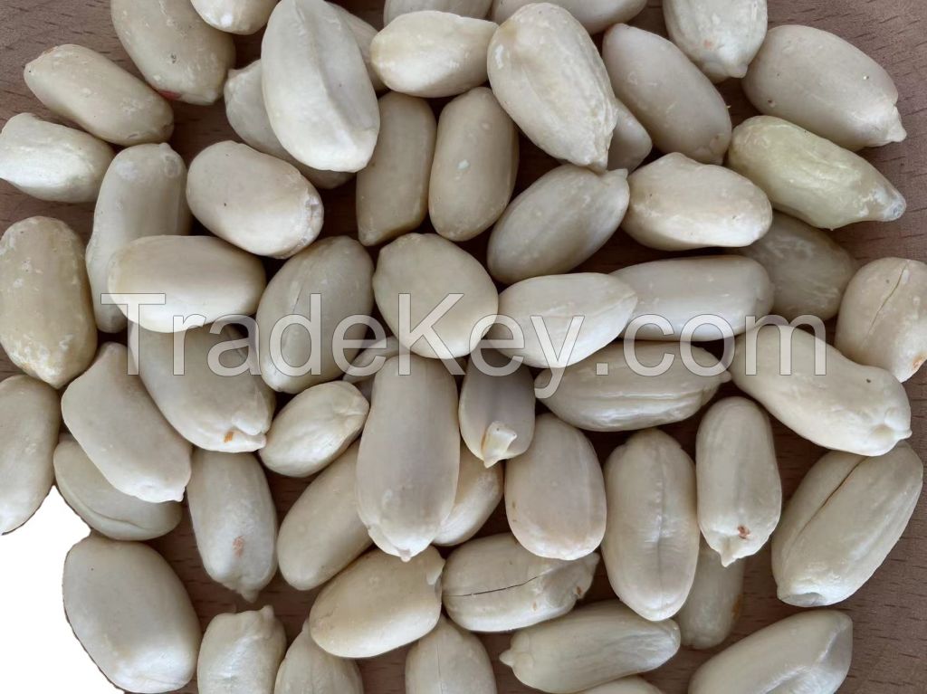 Red Peanut, blanched Peanut Kernels, Bold PeanutsBlanched Peanuts Java Peanuts/ Raw Peanuts Kernel / Raw Peanut in Shell