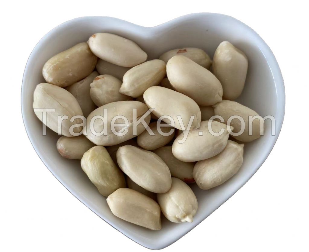 Red Peanut, blanched Peanut Kernels, Bold PeanutsBlanched Peanuts Java Peanuts/ Raw Peanuts Kernel / Raw Peanut in Shell