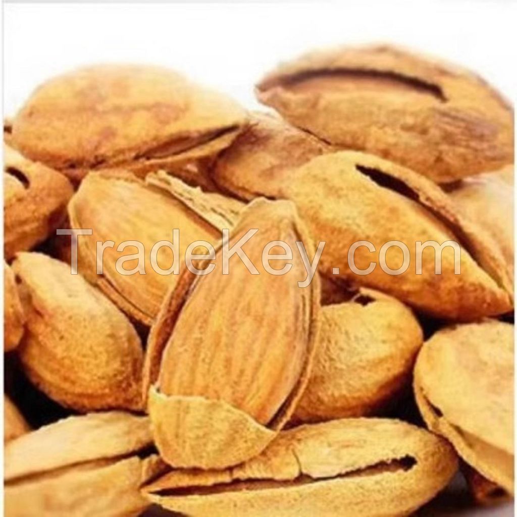 Best Selling Spanish Comuna Almond (Valencia)