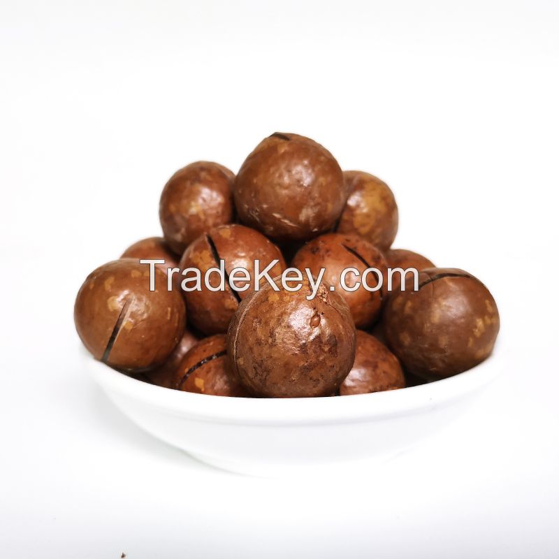 Raw Healthy Food 5kg Bag Dried Roasted Macadamia Da Lat Kernels Macadamia Nut From Lam Dong Vietnam Factory for Export