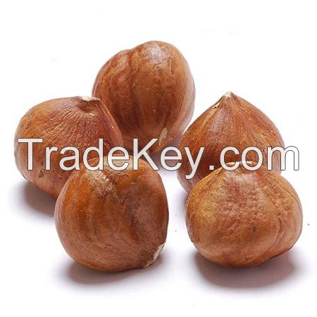 Raw Hazelnuts/Hazel Nuts From Brazil Blanched Dried Food Use for Sale