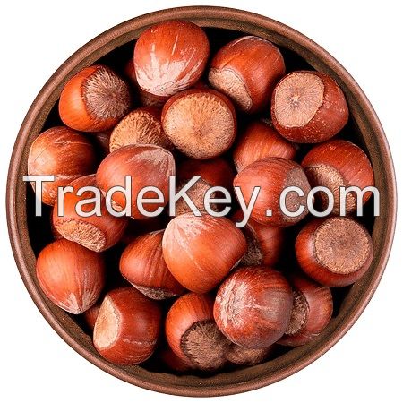 Fresh Hazelnuts/Hazel Nuts From Brazil Blanched Dried Food Use for Sale