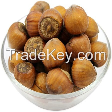 Fresh Hazelnuts/Hazel Nuts From Brazil Blanched Dried Food Use for Sale