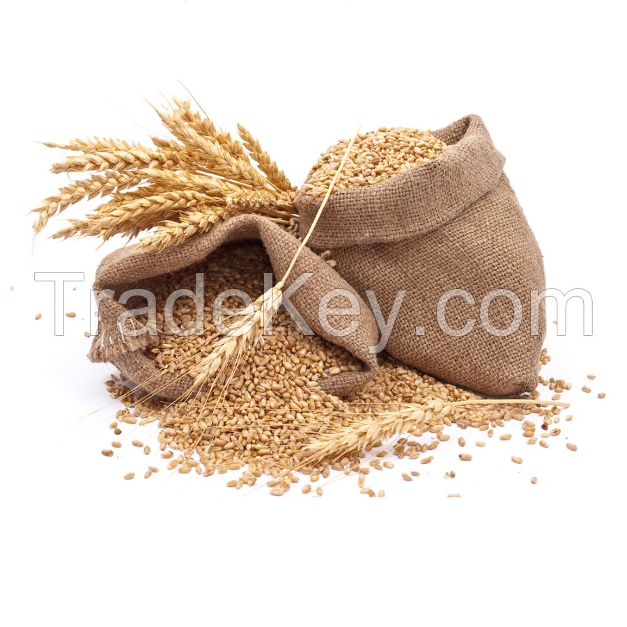 Top Competitive Price for Best Quality Wheat Bran for Poultry / High Protein Wheat Bran Meal