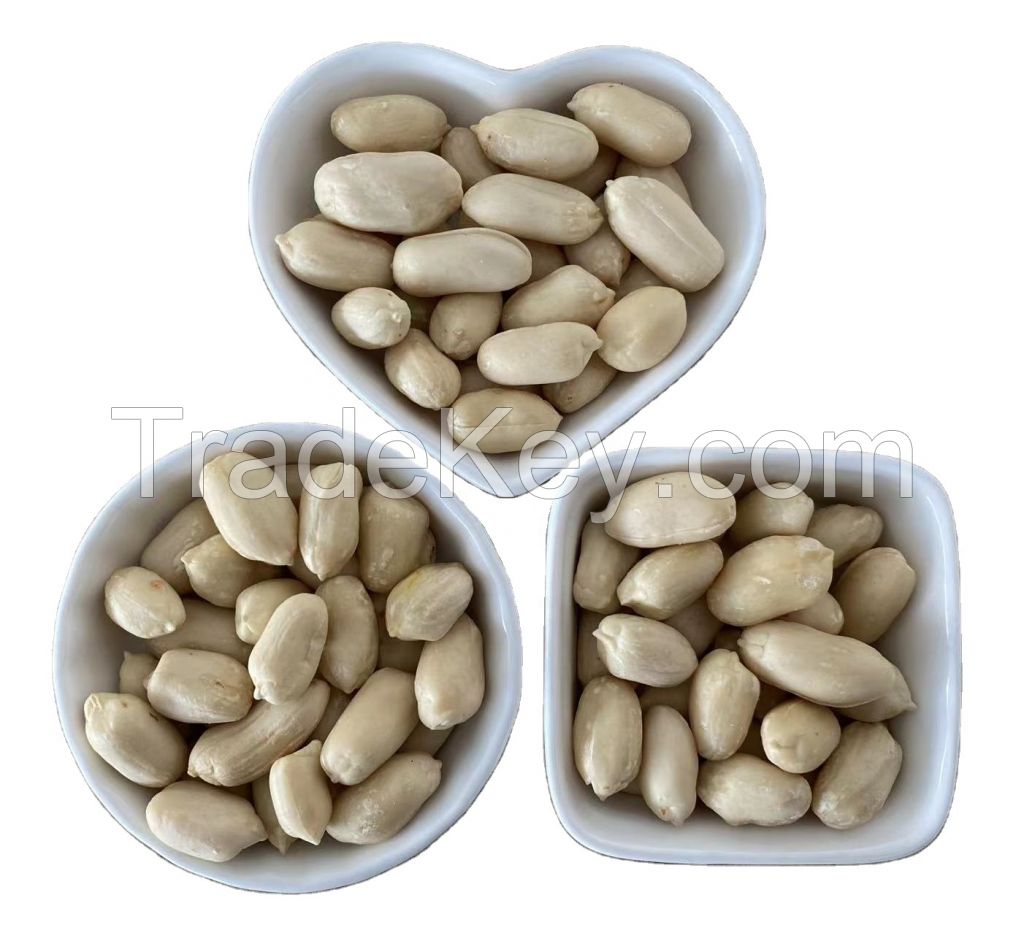 Red Peanut, blanched Peanut Kernels, Bold PeanutsBlanched Peanuts Java Peanuts/ Raw Peanuts Kernel / Raw Peanut in Shell