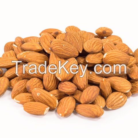 Wholesale Good Quality Almond Nuts Raw Nutrition Organic Almond Nuts for Bake Roasted Almond Nut Price