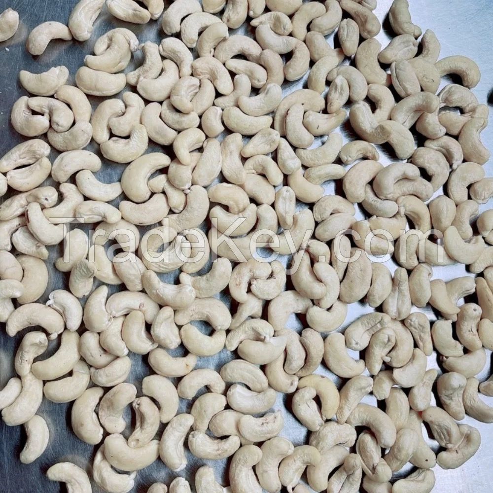 Cashew Nuts High Quality Cheap Price Raw Cashew Nuts W320