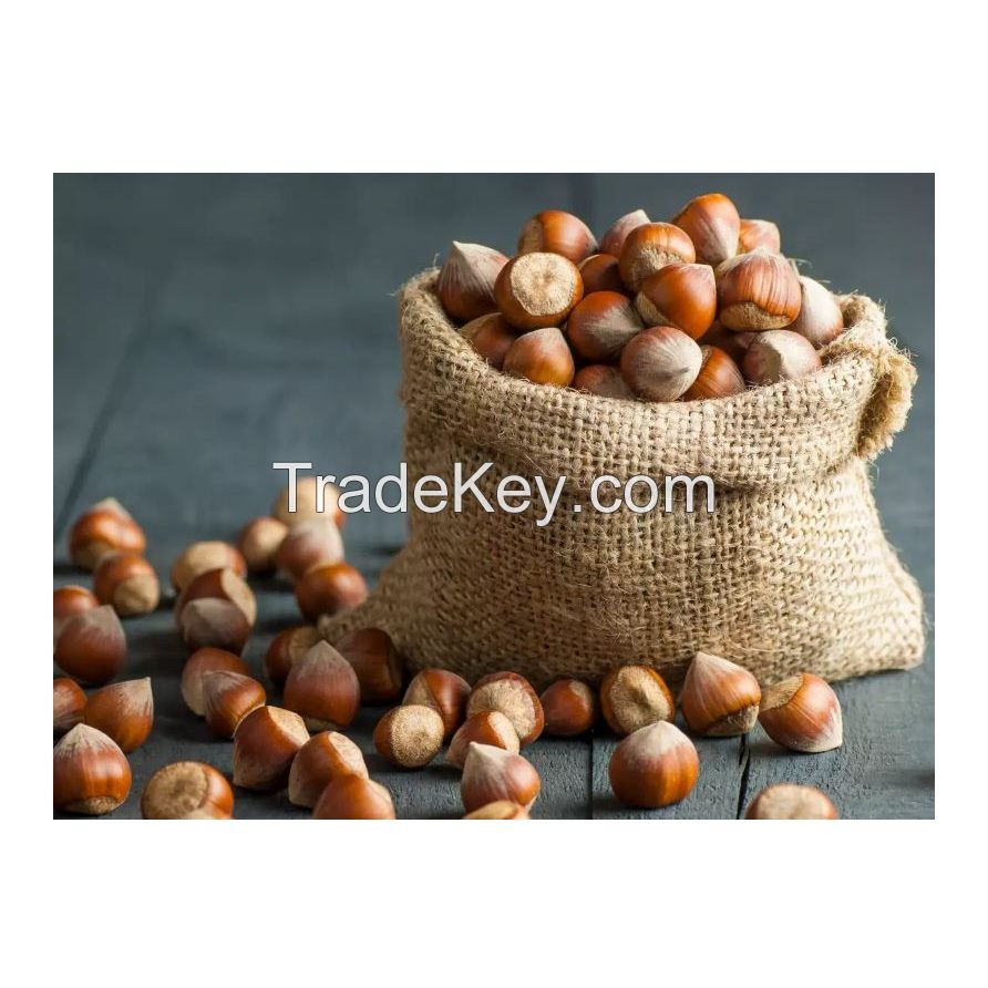 Whole Raw Hazelnuts Cheap Dried Food with Box Packaging Options Include Roasted and Blanched Styles