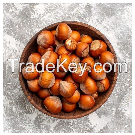 Fresh Hazelnuts/Hazel Nuts From Brazil Blanched Dried Food Use for Sale
