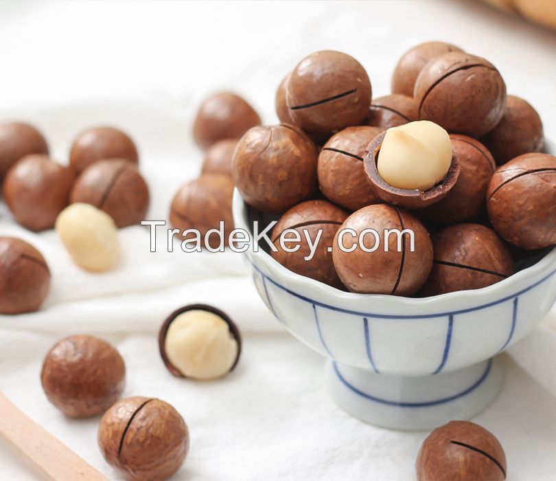Raw Healthy Food 5kg Bag Dried Roasted Macadamia Da Lat Kernels Macadamia Nut From Lam Dong Vietnam Factory for Export