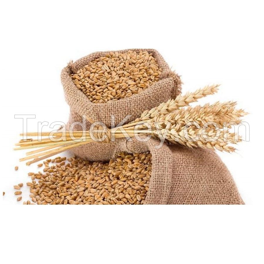 Top Competitive Price for Best Quality Wheat Bran for Poultry / High Protein Wheat Bran Meal
