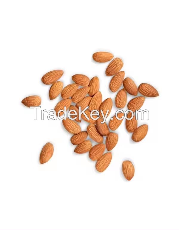 Food Grade 100% Pure Natural Dried Bitter Almonds for Drinking