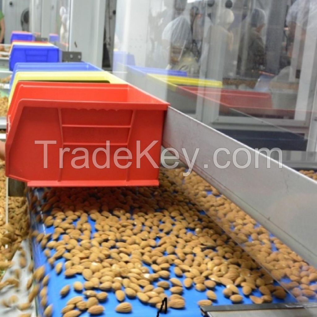 Best Selling Spanish Comuna Almond (Valencia)