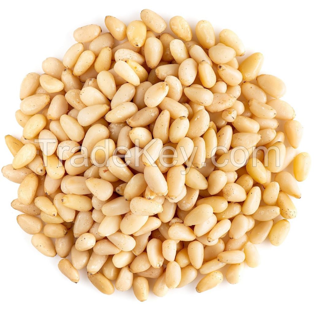 Organic Pine Nuts Roasted Dried Agriculture Product Nut Food