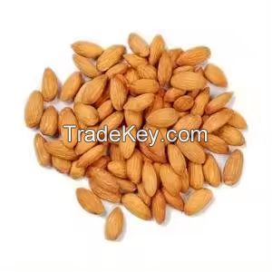 Food Grade 100% Pure Natural Dried Bitter Almonds for Drinking