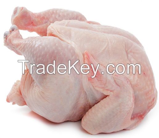 Halal Certified Frozen Chicken Frozen Whole Turkeys and Turkeys Parts for Sale