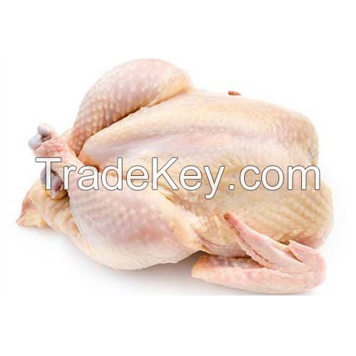 Halal Certified Frozen Chicken Frozen Whole Turkeys and Turkeys Parts for Sale