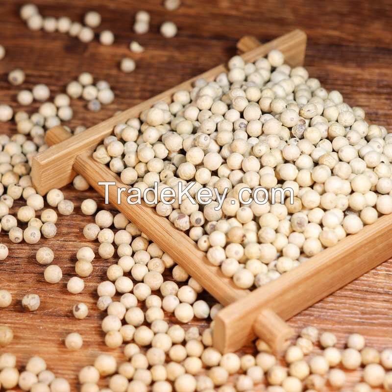 Best Spices White Pepper 1% Admixture New Harvested Spring Season