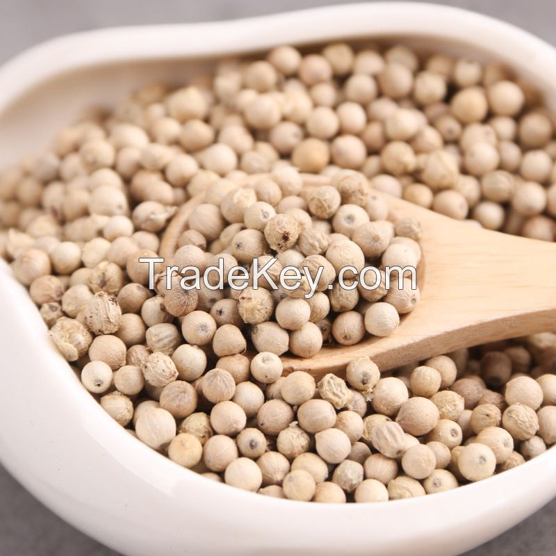 Best Spices White Pepper 1% Admixture New Harvested Spring Season